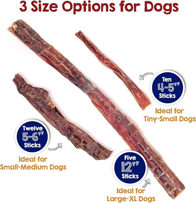 Riley's Steer Bully Sticks for Tiny to Small Dogs - Odor Free Single Ingredient Chew Treat - Easily Digestible, 100% Beef Pizzle Sticks for Dogs - 4-6", 10ct