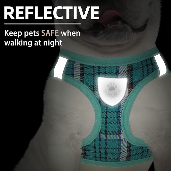PUPTECK Adjustable Dog Harness Collar and Leash Set Step in No Pull Pet Harness for Small Medium Dogs Puppy and Cats Outdoor Walking Running, Soft Mesh Padded Reflective Vest Harnesses, Lake Green M