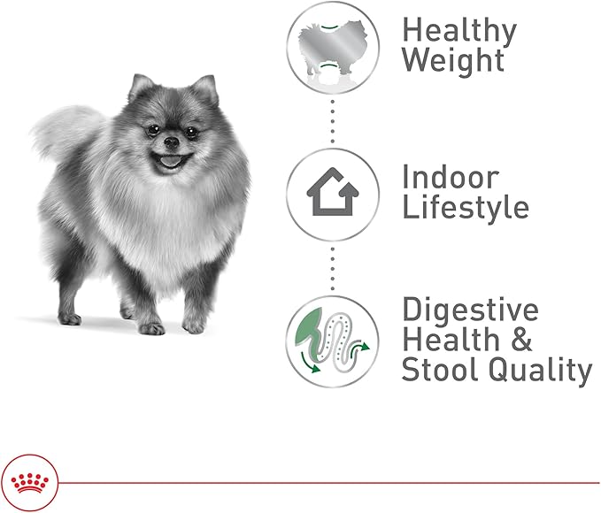 Royal Canin Size Health Nutrition Small Indoor Adult Dry Dog Food, 2.5 lb Bag