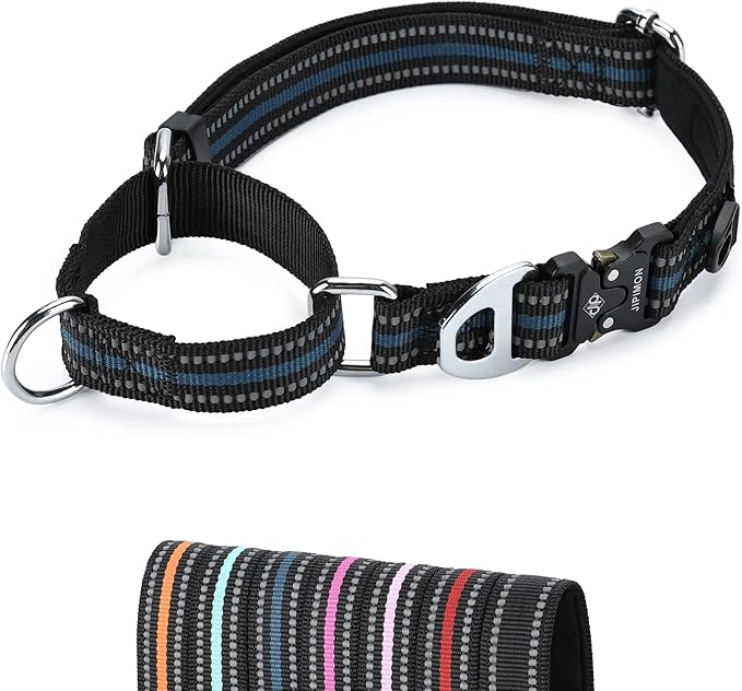 Martingale Dog Collar Reflective Nylon Soft Cushion with Alloy Buckle Dog Collar Martingale Small Medium and Large Dogs (Large, Dark Blue)