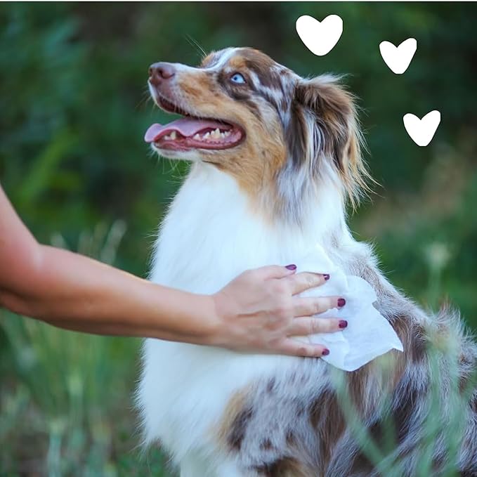 earthbath, Green Tea & Awapuhi Grooming Wipes - Dog Wipes for Paws and Butt, Best Pet Wipes for Dogs & Cats, Made in USA, Cruelty-Free Dog Cleaning Wipes, Removes Dirt & Dander - 100 Count (1 Pack)