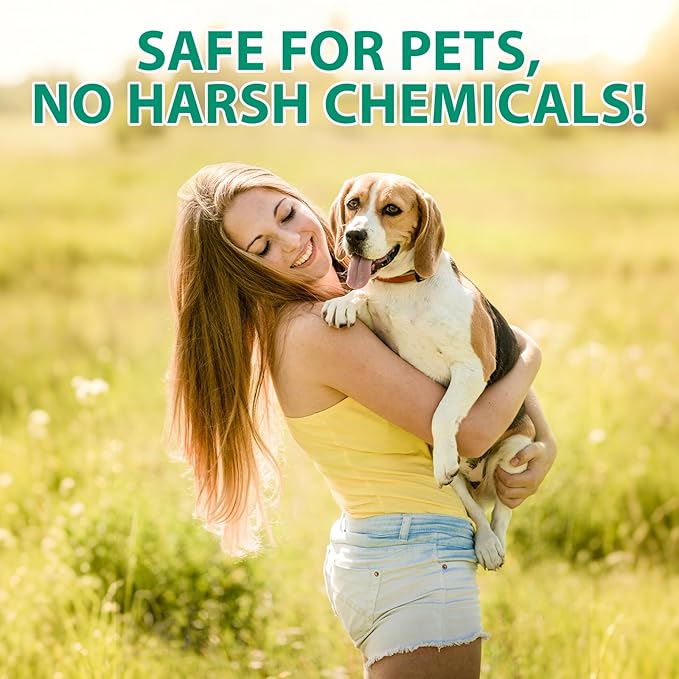 FANSHI Pets Dog Eye Drops Gentle Eye Drops for Dogs and Cats Specially Formulated Eye Wash Relieve Eye Itching & Irritation, Cleansing 100ml/3.38fl Oz