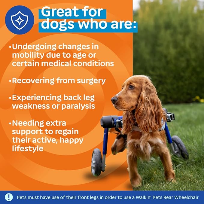 Walkin' Wheels Dog Wheelchair - for Medium Dogs 26-49 lbs - Veterinarian Approved - Dog Wheelchair for Back Legs