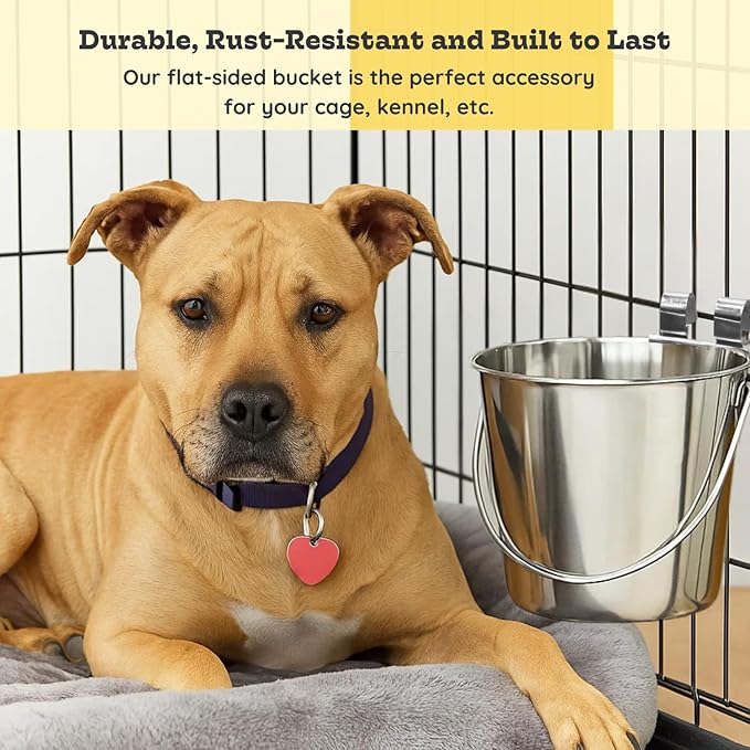 6 Quart Stainless Steel Flat Sided Pail with Dual Hooks | Hanging Bucket for Dogs, Cats, Goats, Sheep & Livestock | Food & Water Bowl Fits Kennels, Crates, Cages & Farm | Multipurpose Use
