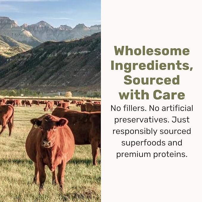 Superfood Nuggets- Premium, Freeze-Dried raw Dog Food Topper or Treat. Powerful Nutrient-Dense Ingredients. No Artificial additives. Beef Tripe and Kale Formula 8oz - 4pk Bundle