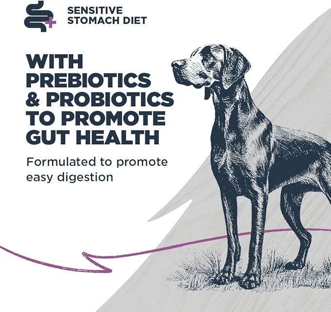 Blackwood Sensitive Skin & Stomach Dry Dog Food, Salmon Meal & Brown Rice with Ancient Grains, 24 Pound Bag with Prebiotics & Probiotics to Promote Gut Health