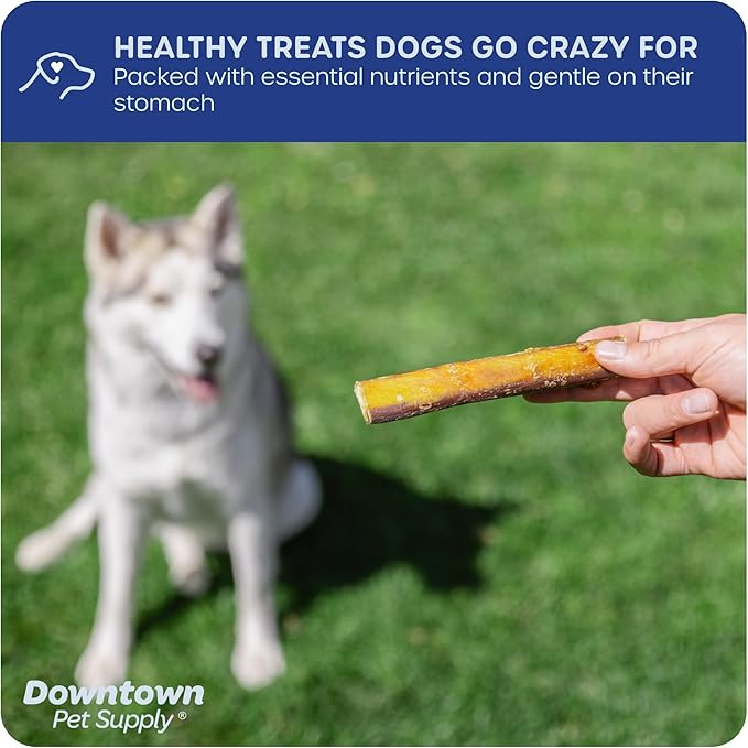 Downtown Pet Supply USA-Made 6", 1 Lb. Jumbo Bully Sticks for Large Dogs - Rawhide Free Dog Chews Long Lasting and Non-Splintering - Single Ingredient, Low Odor Bully Sticks for Medium Dogs
