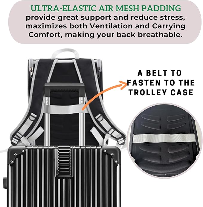 LOLLIMEOW Pet Carrier Backpack for Dogs and Cats,Puppies,Fully Ventilated Mesh,Airline Approved,Designed for Travel, Hiking, Walking & Outdoor Use