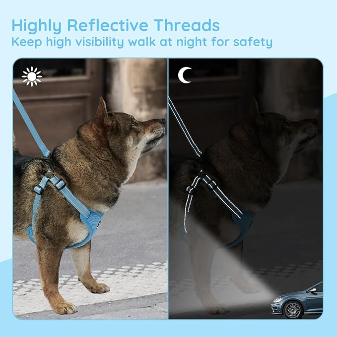 BELLA & PAL Adjustable Step-in Dog Harness, Puppy No-Pull Vest with Leash Set for XS/Small & Medium Dog, Breathable All-Weather Mesh, Reflective Strip, Secure Hook & Loop, Buckle Closure, Dual D-Rings