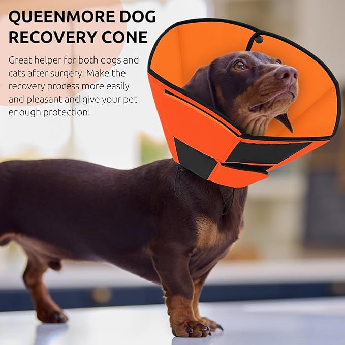 Queenmore Soft Cone for Dogs After Surgery, Dog Cones for Large Dogs to Stop Licking, Soft Dog Cone, Elizabethan Collar for Pets, Alternative Pet Recovery Collar for Wound Healing, Orange L