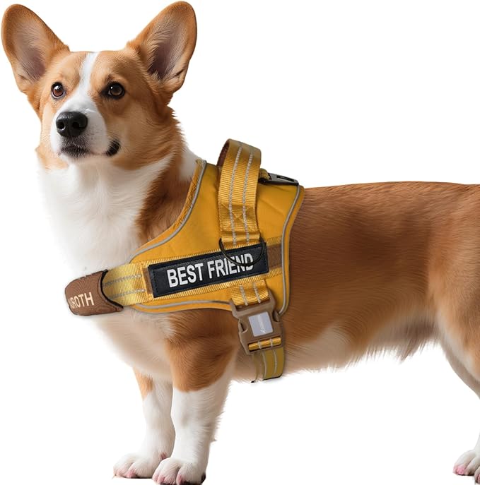 AUROTH Dog Harness No Pull Soft Padded Service Dog Vest, No Choke, Easy On Pet Vest with Handle, Adjustable Reflective Dog Harness for Small, Medium and Large Dogs, Easy Walking and Training
