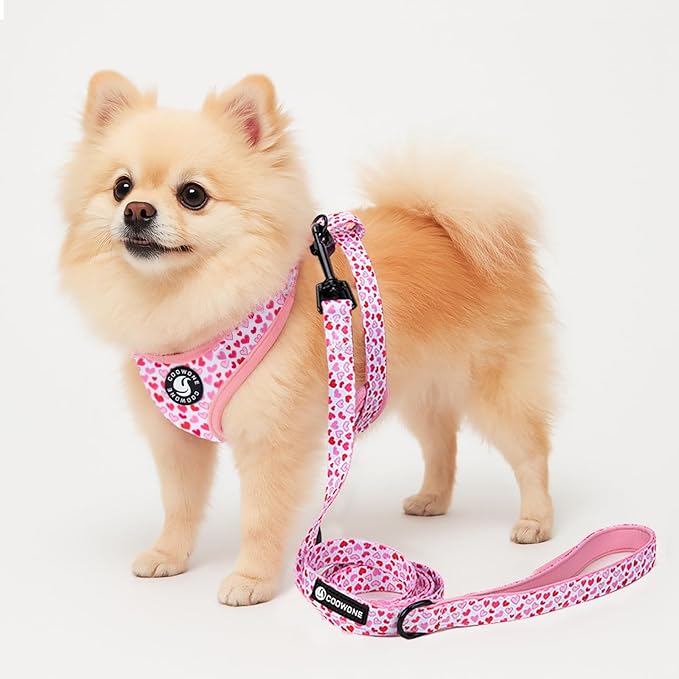 Dog Harness and Leash Set, Adjustable Dog Harness, Dog Leash, No Pull No Choke Puppy Harnesses for Walking Training for Small, Medium Pet (Little Love, XS(Chest 11-13", Neck 9-11"))