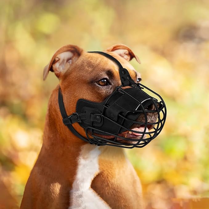 OOPSDOGGY Metal Pitbull Dog Muzzle Reflective Leather Mask Secure Wire Basket Muzzle for Large Sized Dogs Amstaff Soft Cage Muzzle to Prevent Biting Chewing with Adjustable Straps (Black, Pitbull)