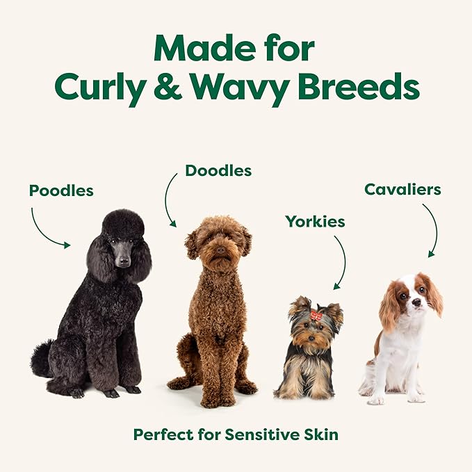 Earth Rated 3-in-1 Detangling Dog Shampoo and Conditioner, Deodorizing Oatmeal Shampoos for Dogs and Puppies, Great for Smelly Pets, White Tea and Basil Scent, 16 oz