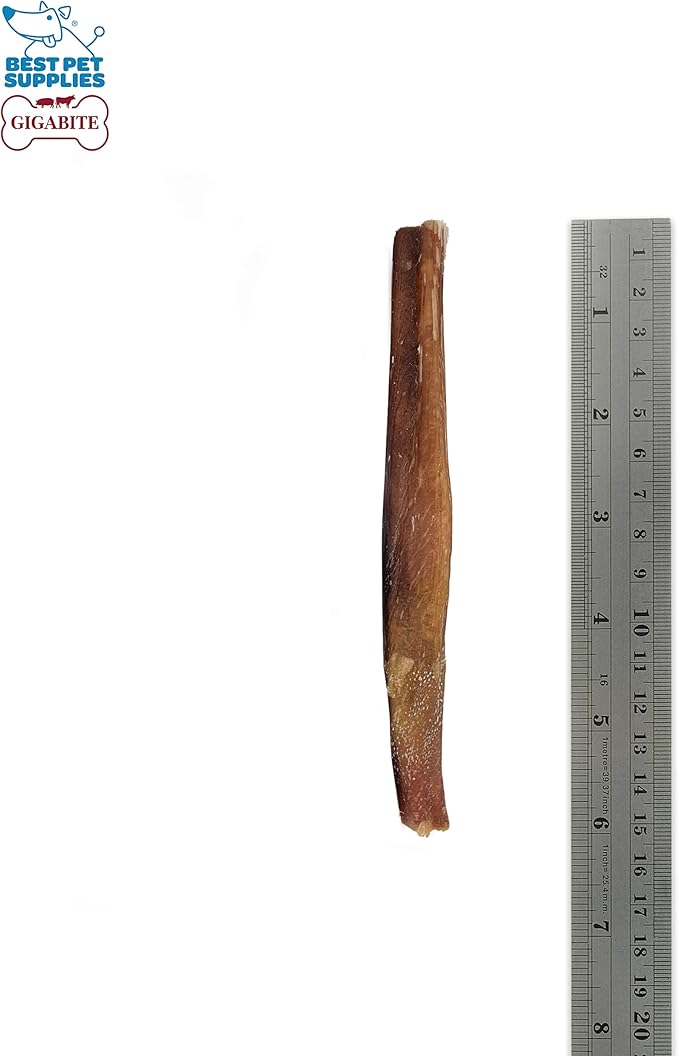 GigaBite Single Ingredient All Natural Free Range Bully Treats and Chews - Bully Sticks/Bladder Sticks/Beef Esophagus by Best Pet Supplies - Bully Sticks (Regular 6"), Pack of 8