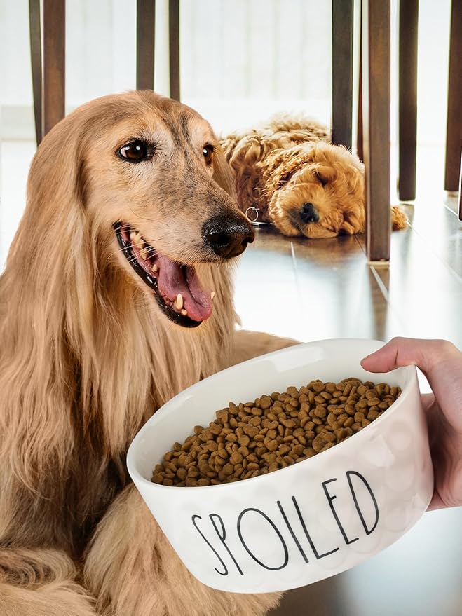 70OZ Ceramic Dog Bowl - 8'' Non-Slip Feeder for Medium & Large Dogs, Suitable for Dry & Wet Food, White, Microwave & Dishwasher Safe