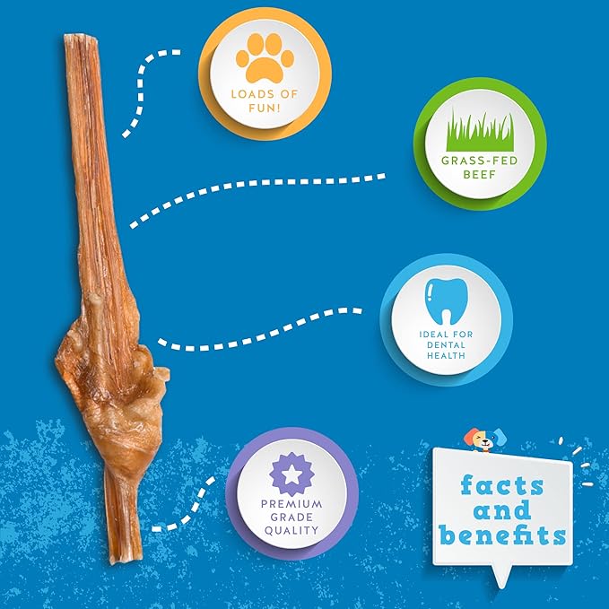 Jack&Pup 6 Inch Bladder Bully Sticks for Small Dogs (30 Pack) Single Ingredient Dog Treats, Puppy Chew Sticks