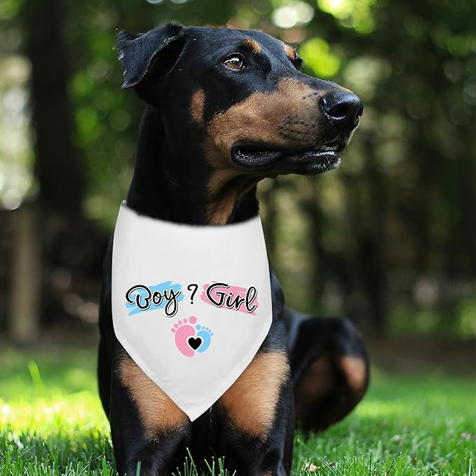 He Or She What Will It Be? Gender Reveal Announcement Dogs Bandana Dog Baby Announcement New Baby Shower Photo Prop Pet Scarf Accessories for Dog Lovers Gift - Blue/Pink