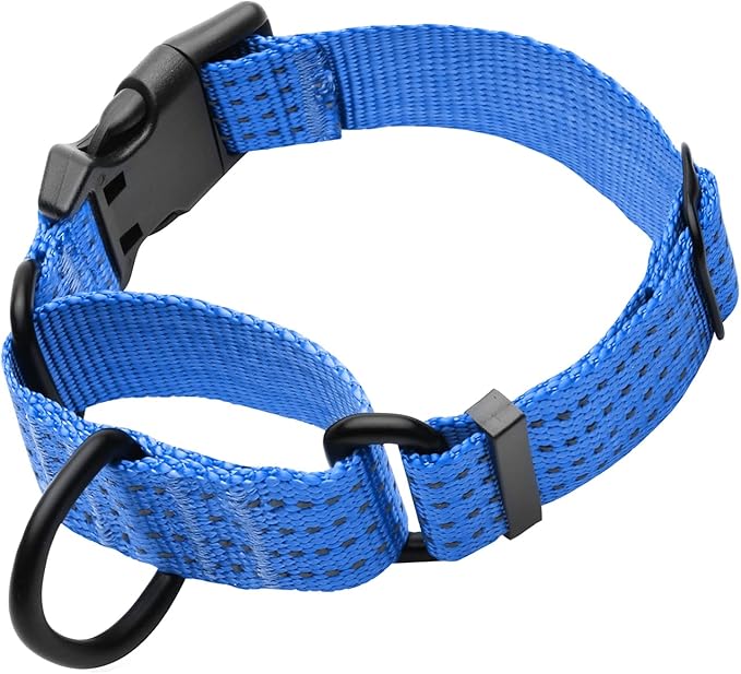 Martingale Collar for Training Dogs. Adjustable Reflective Dog Collars with Buckle- NO Pull-Prevents Slipping Out, for Medium Large XL Dogs. Helps with Strong pullers (M, Blue)
