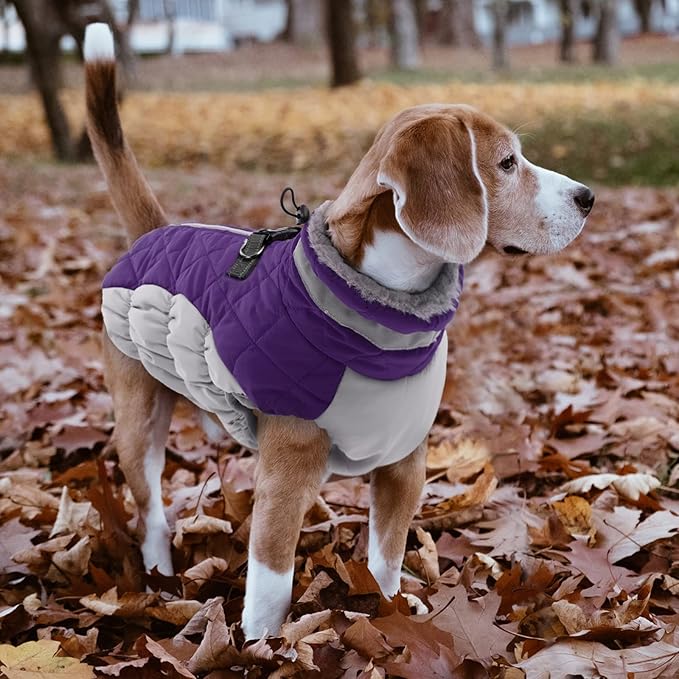 Lelepet Dog Coat Warm Dog Winter Coat Waterproof Dogs Jacket with Harness Built in Reflective Pet Fleece Vest Zip-Up Cold Weather Coats for Small Dogs Turtleneck & Windproof Coats Chihuahua Purple XS