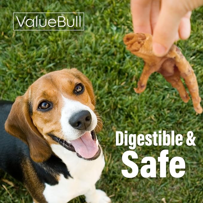 ValueBull Chicken Feet for Dogs, 200 Count Bulk Pack - All Natural Dog Chew, Hip and Joint Chew, Single Ingredient Dog Treat