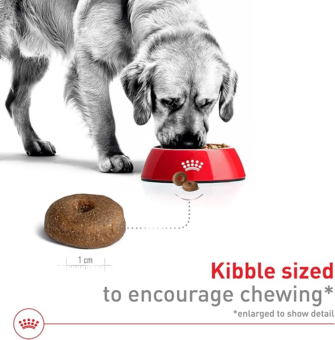 Royal Canin Size Health Nutrition Large Aging 8+ Senior Dry Dog Food, 30 lb Bag