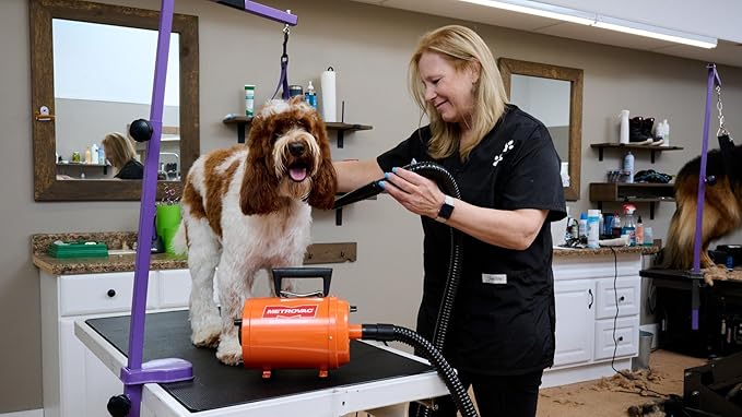 METROVAC AFTD-3V: Air Force Commander Variable Speed Dryer - Purple | 4.0 HP | Professional Pet Grooming Blower | Made in USA