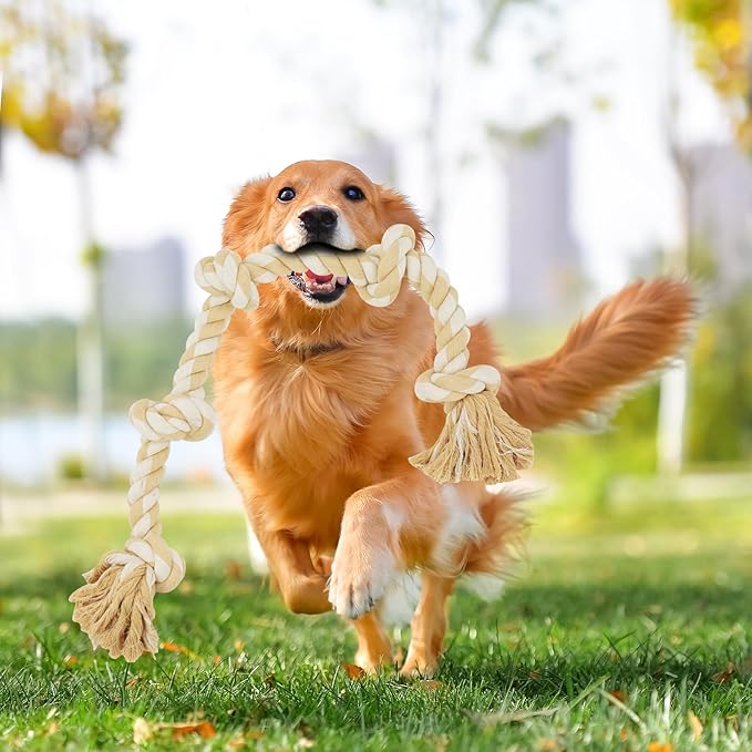 Bmag Dog Toys for Aggressive Chewers, Tough Rope Chew Toys for Medium Large Dogs,Heavy Duty Tough Dog Tug of War Toy with 5 Knots for Teeth Cleaning