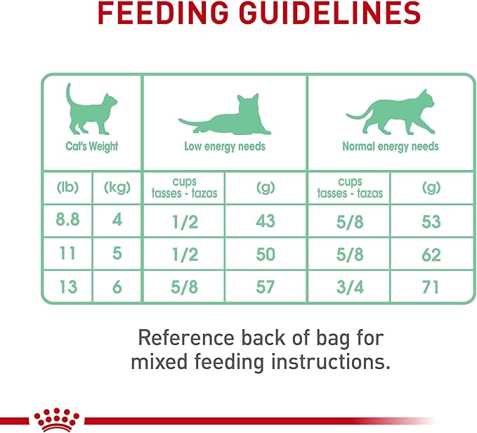 Royal Canin Feline Care Nutrition Digestive Care Adult Dry Cat Food, 6 lb Bag