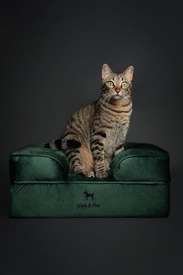 NOAH & PAW Small Dog Bed, 20x15x8 Inch, Cat Bed for Indoor Cats, Orthopedic Eggshell Memory Foam Infused with Cooling Gel, Waterproof Inner Cover Machine Washable (Velvet Collection)