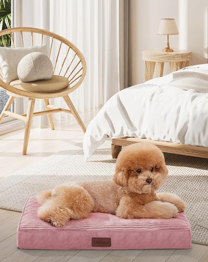 OhGeni Orthopedic Waterproof & Machine Washable Dog Bed for Small Pets, Suitable for Crates, Cat Mat with 25D Egg Crate Foam, Non-Slip Bottom & Removable Cover, 24 Inches(Pink)