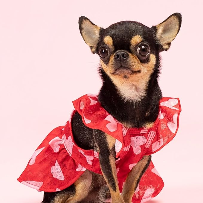 Fitwarm Valentine's Day Sweet Heart Dog Dress, Dog Holiday Outfit, Red, Pink, Medium