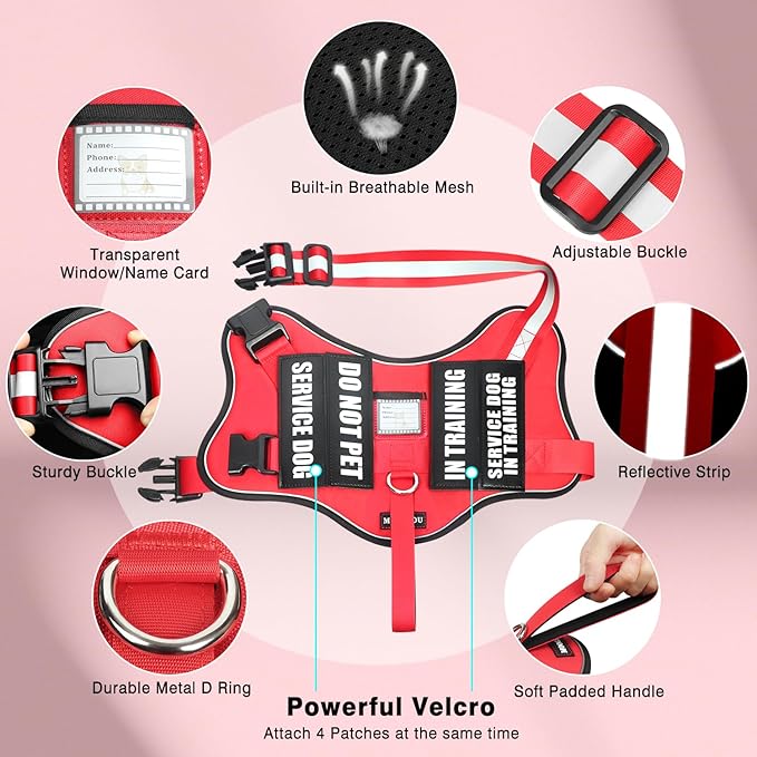 Service Dog Vest Harness and Leash Set+10 Patches,No Pull&Adjustable Reflective Dog Harness with Soft Padded Handle for Training/Everyday,Fit Small/Medium/Large/Extra-Large Dogs(Red L)