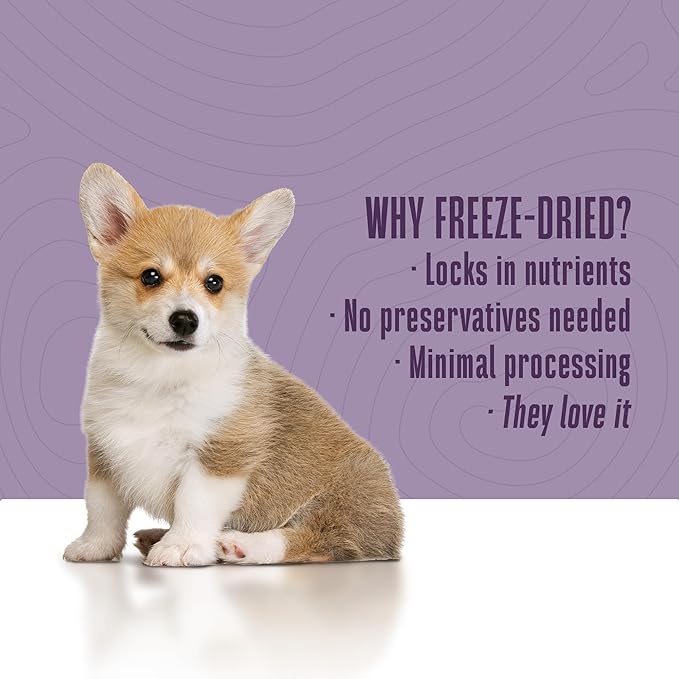 Whole Life Dog Mini Ones Beef Liver Freeze Dried Dog Treats - Human Grade High Protein Food, Healthy Training Snacks, Freeze Dried Food Toppers, USA Made Natural Treats - 6 oz (Pack of 1)