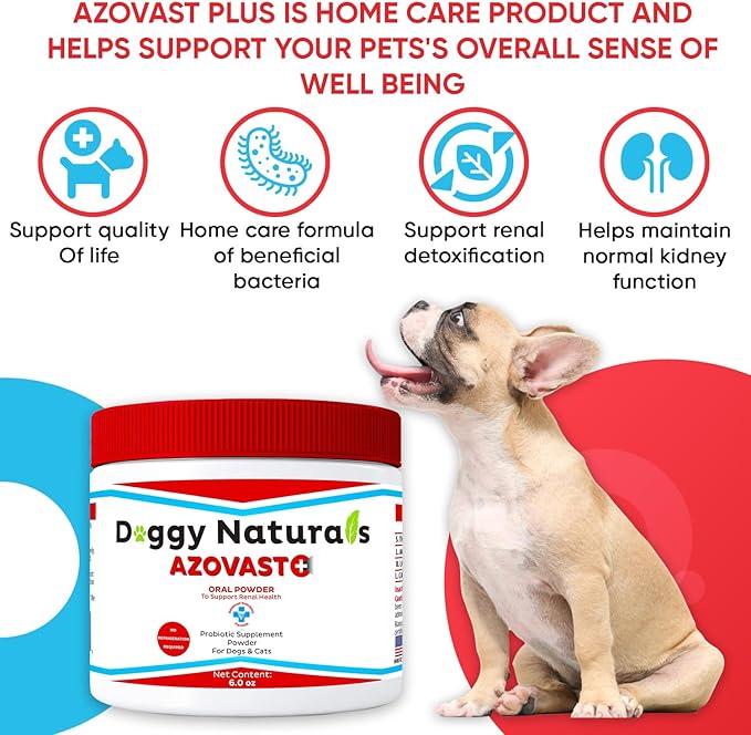 Azovast Plus Kidney Health Supplement for Dogs & Cats, Oral Powder (12 Oz) - (240 Doses/ 2 Jar) NO Refrigeration Required - Help Support Kidney Function & Manage Renal Toxins(U.S.A)(12 Oz (2 Pack))