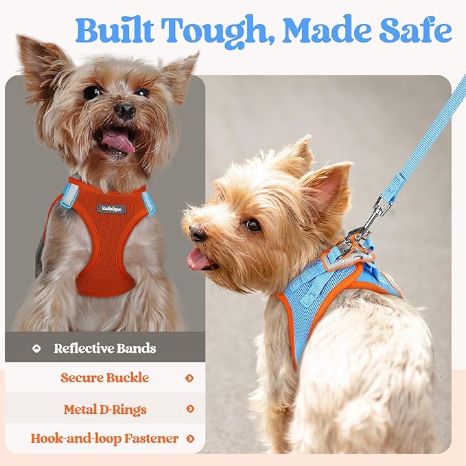 rabbitgoo Dog Harness Small Sized and Leash Set, Step in Soft Light Puppy Vest, Breathable Mesh Pet Harness, Reflective for Safe Easy Walking, Blue & Orange XXXS