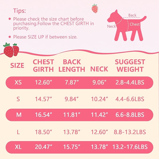 2 Pack Dog Dress Clothes for Small Dogs Girl with Leash Ring & Bow cat Dog Outfit Strawberry Printed Pet Cat Apparel Sweet Ruffled Chihuahua Yorkie Puppy Clothes