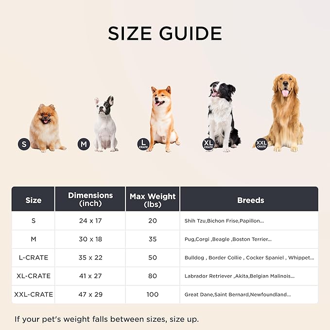 Bedsure Dog Bed Medium Size Dog - Orthopedic Pet Beds with Removable Machine Washable Cover, NOT Waterproof Egg Crate Foam Puppy Pad, Suitable for Pet Up to 35 lbs, 29"x18"