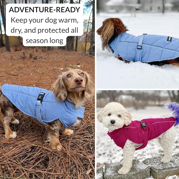 DJANGO Insulated Puffer Dog Jacket with Harness Hole – Warm, Water-Repellent Winter Dog Coat Small Dogs, Dachshunds, Puppies – Adjustable, Reflective Cold Weather Dog Apparel – Lafayette Green, Small