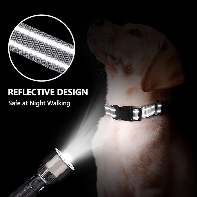Hikiko Reflective Martingale Dog Collars for Large Dogs with Buckle Nylon Training Walking No Pull Collars, Sliver Gray, L