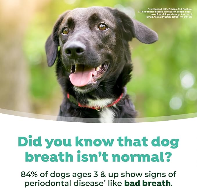 TropiClean Fresh Breath Advanced Whitening Water Additive for Dogs, Max Strength Dog Teeth Cleaning and Breath Freshener Solution, 16oz