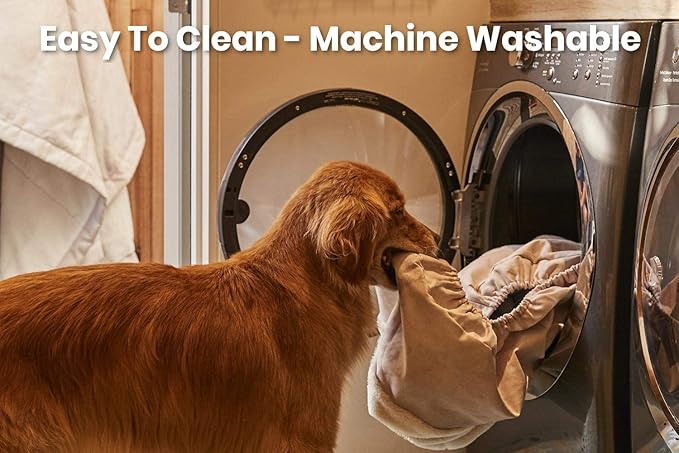 K9 Ballistics Tough Rip-Stop Orthopedic Rectangle Dog Bed Removable Washable Cover, Solid Orthopedic Foam for Size S Dogs 24"x18", Sandstone