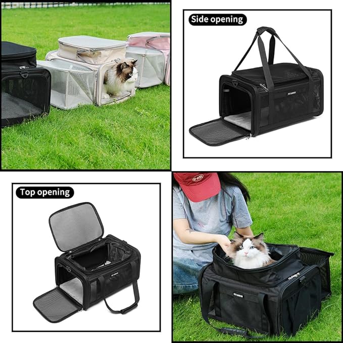 Airline Approved Pet Carrier for Cats and Small Dogs up to 15 lbs, Breathable Mesh, Portable Travel Bag for Bearded Dragon, Puppies Animal Hangbag, Rabbit Cage (Black, Expandable)