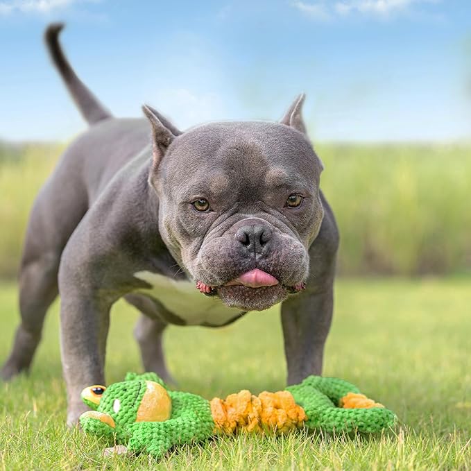 Dog Tug Toy, Durable Dog Toy for Large Breed, Tug of War Dog Squeaky Toys, Stuffed Plush Dog Toy with Crinkle Paper for Small, Middle, and Big Dogs(Frog)