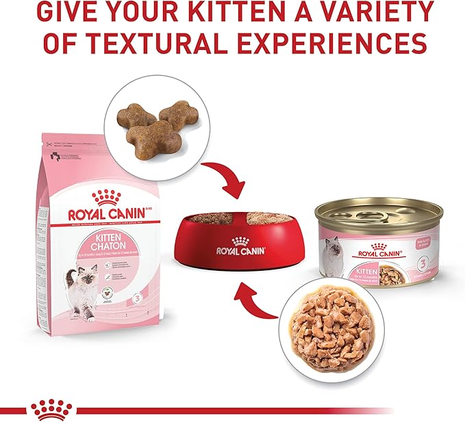 Royal Canin Feline Health Nutrition Kitten Thin Slices in Gravy Cat Food, 3 oz (Pack of 18)