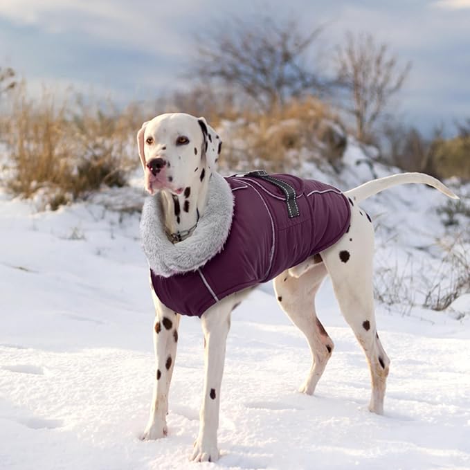 Lelepet Warm Dog Coat Reflective Fleece Vest Waterproof Dog Jacket with Adjustable Buckle Hook & Loop Windproof Cold Weather Coats for Small Medium Large Dogs, Dark Purple, S