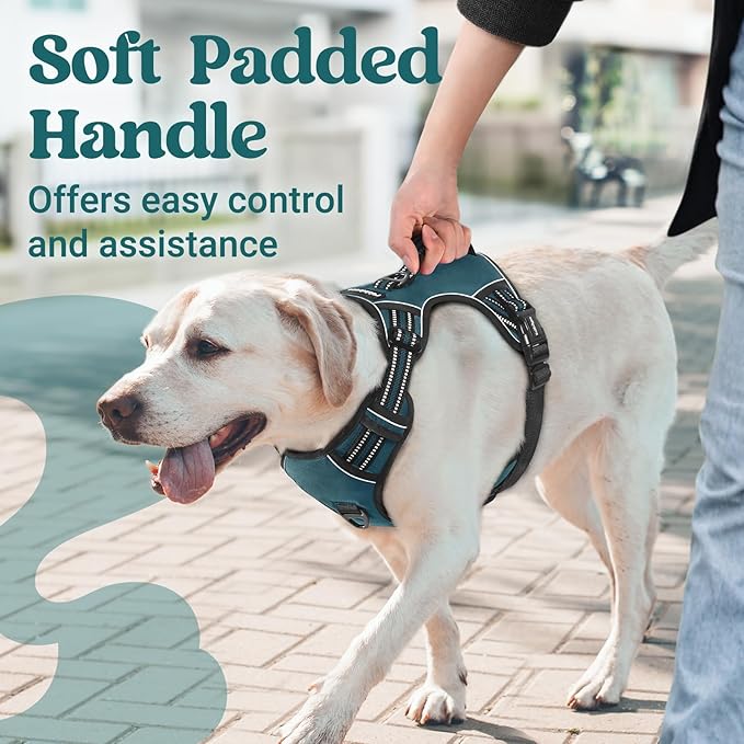 rabbitgoo Dog Harness for Large Dogs, No Pull Pet Harness with Soft Padded Handle, Adjustable Reflective Vest with 3 Buckles, Easy Walking Harness with 2 Leash Clips, Green, L