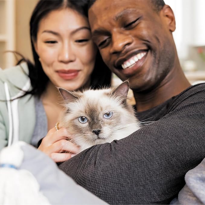 IAMS Proactive Health Adult Healthy Dry Cat Food with Chicken, 3.5 lb. Bag