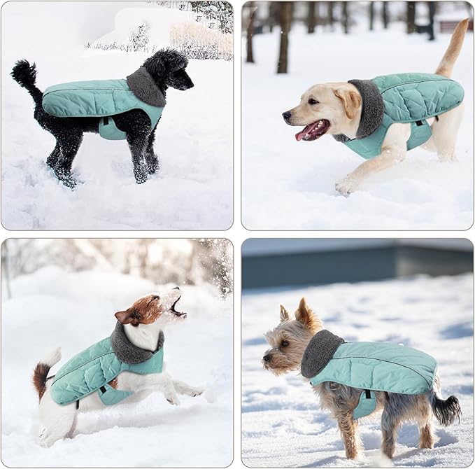 Doglay Dog Coat, Waterproof Dog Jacket Pet Winter Coat for Cold Weather with Thicken Furry Collar, Reflective Puppy Winter Jacket Warm Fleece Lining for Small Medium Large Pets