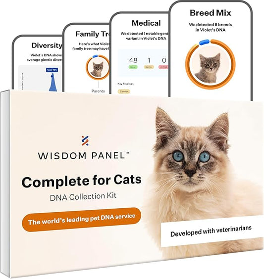 Wisdom Panel Complete: Comprehensive Cat DNA Test kit for 45 Health Genetic Health Conditions, 70+ Breeds and populations, 25+ Traits, Blood Type - Pack of 1